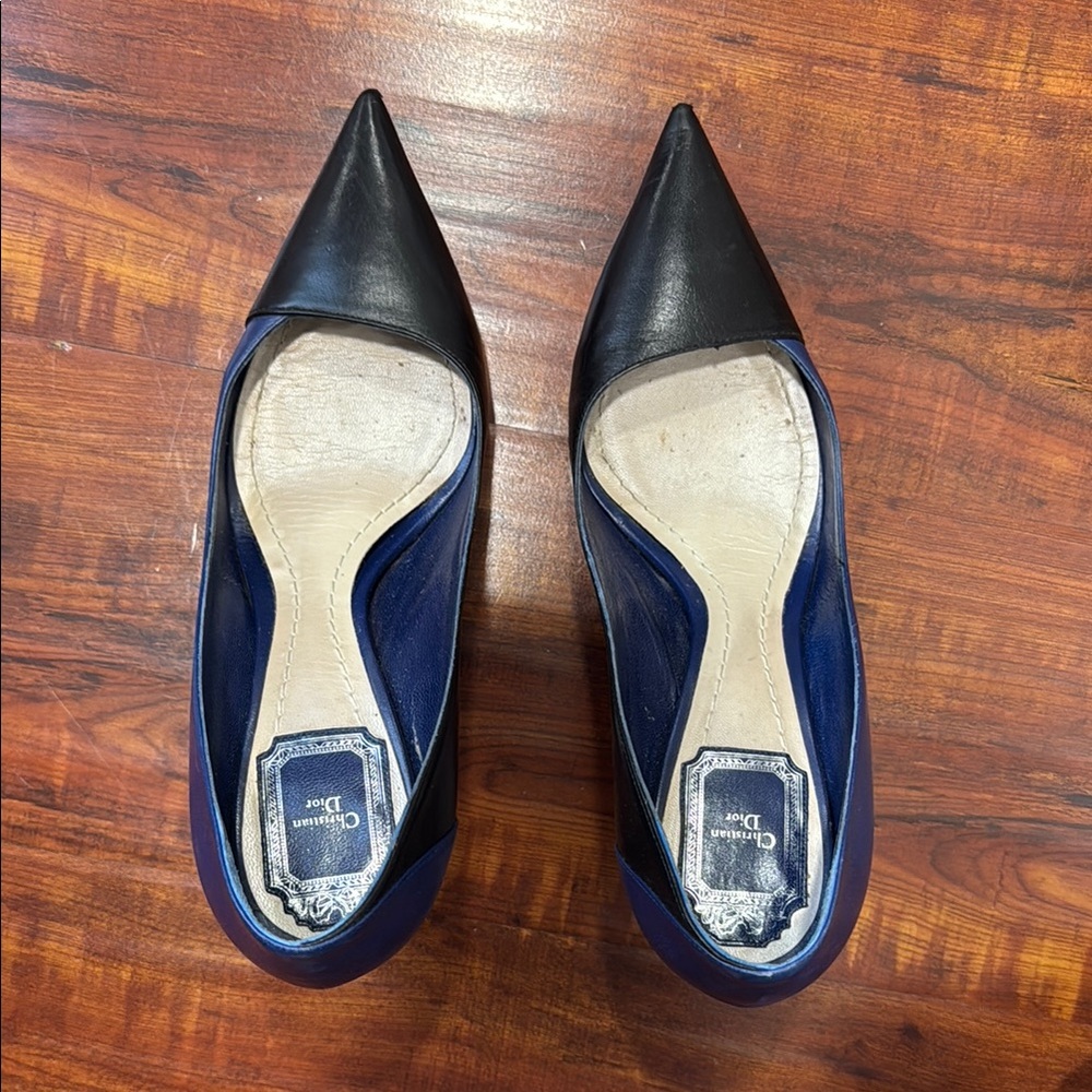 Dior Women's Heels in Black and Blue